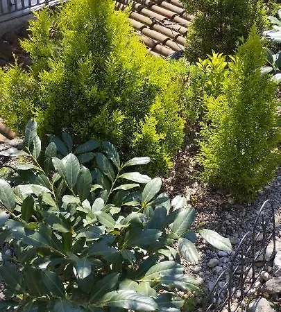 Apartman Matija Opatija