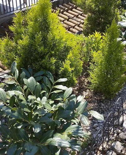 アパート Matija オパティヤ